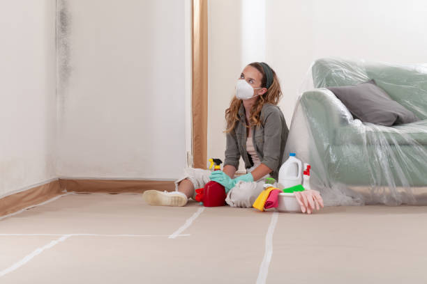 Reliable Mold Inspection And Testing contractor in Winterville, NC by Mold Remediation HQ
